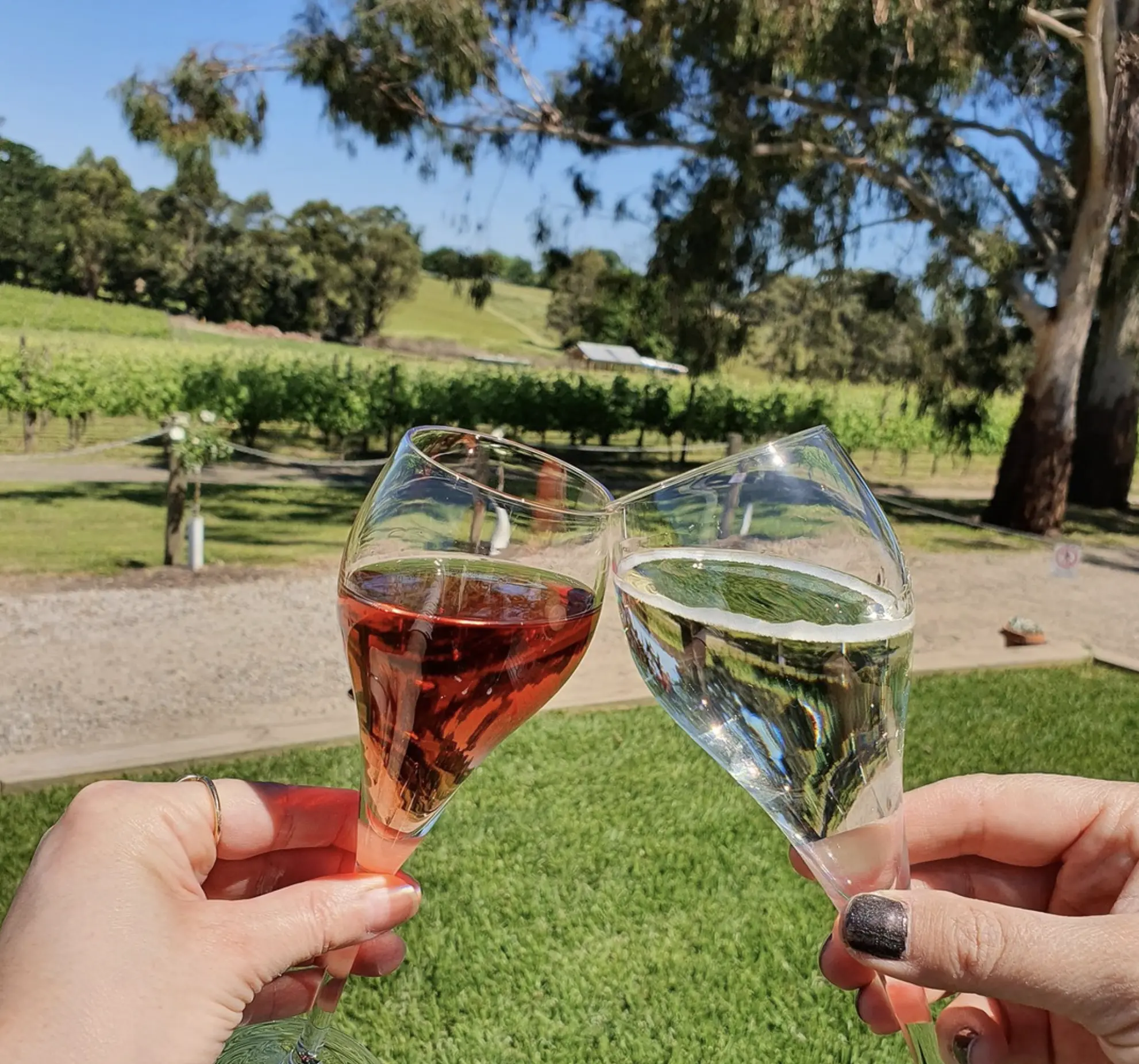 Yarra Valley Wine Tours