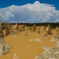 Best Time to Visit Pinnacles