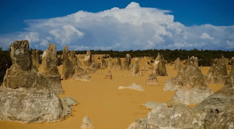 Best Time to Visit Pinnacles